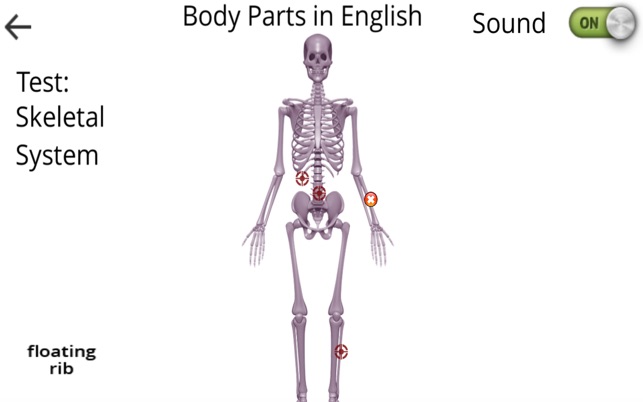 Learn Body Parts in English(圖5)-速報App