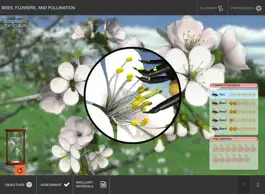 Game screenshot Bees, Flowers, and Pollination apk