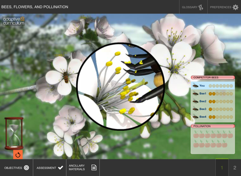 Bees, Flowers, and Pollination screenshot 2