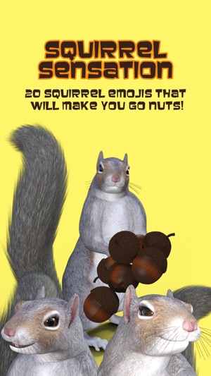 Squirrel Sensation