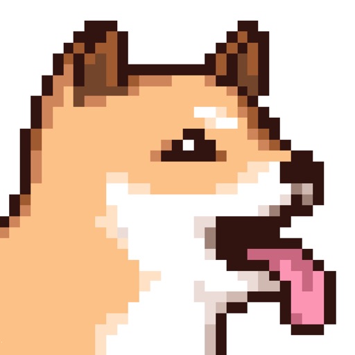 Shiba Catch Icon