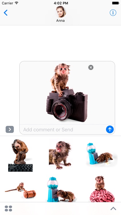 Weird Monkey - Sticker Pack