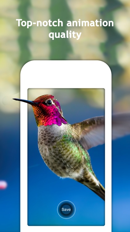 Moving Wallpapers Free for Lock Screen by Fexy Apps