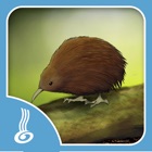 Top 40 Games Apps Like He Kīrehe Māori / Native Animals - Best Alternatives