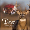 Deer Photo Frames Free Wallpaper Photoshop Effects
