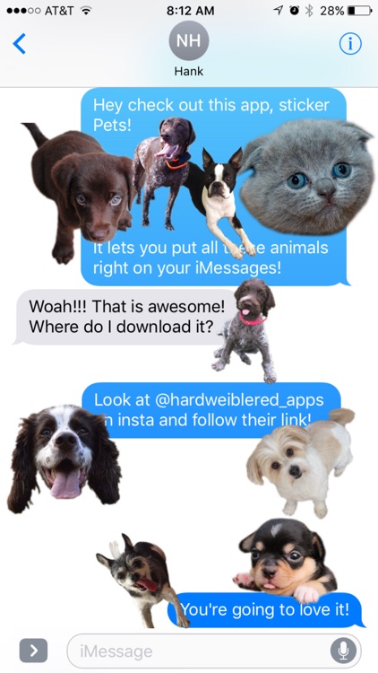 Pet Stickers, Dogs, Cats, Horses, & Fish!