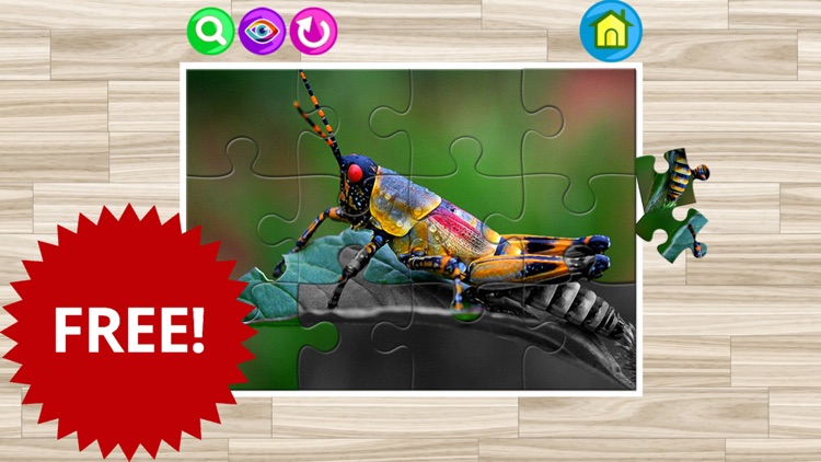 Butterfly and insect jigsaw puzzle games