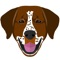 Finally a great personalised app for your German Shorthaired Pointer
