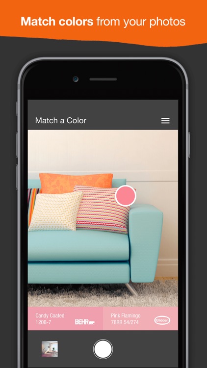 Project Color™ The Home Depot screenshot-3