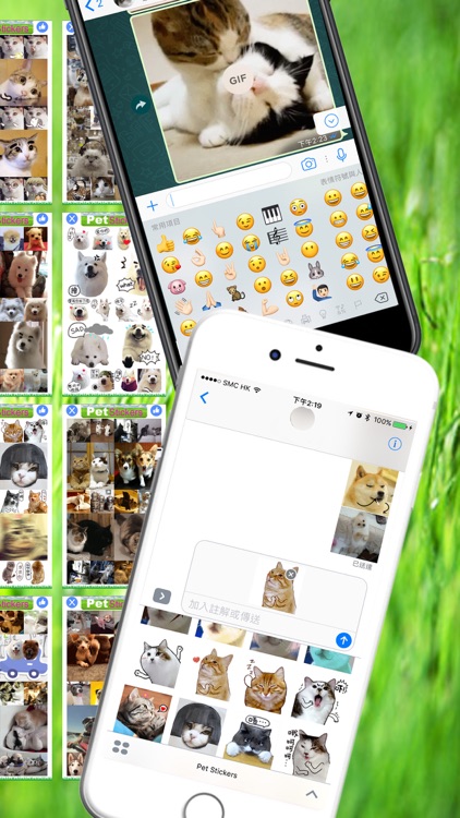 Pet Stickers - Cats & Dogs Animated Gif Stickers