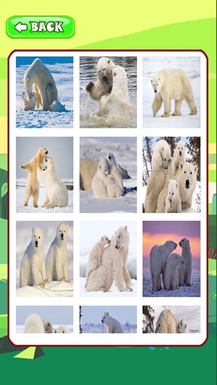 Polar Bear Games Jigsaw Puzzle Kids Version