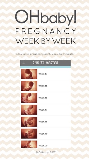 OHbaby! Pregnancy Week by Week(圖2)-速報App