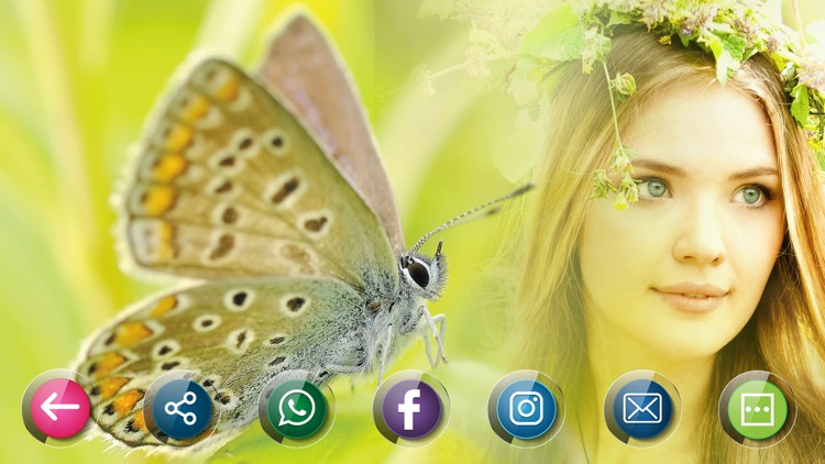 Butterfly Photo Frames & Collage Photo Editor screenshot-3