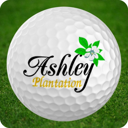 Ashley Plantation