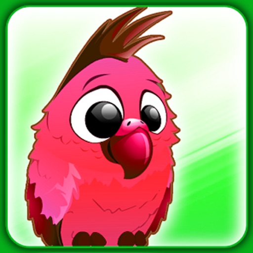 Stunning Bird Match Games Icon