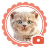 Pet Camera - funny stickers for cat and dogs