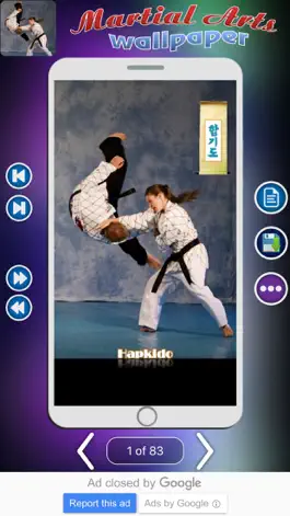 Game screenshot Martial Arts Wallpaper apk