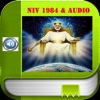 NIV Bible 1984.