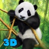 Panda Bear Simulator 3D Full