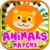 Animals Crush Puzzle - Match 3 Game for kids