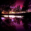 Sunset Tree Reflection Wallpapers HD-Art Pictures
