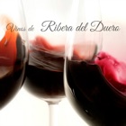 Top 31 Food & Drink Apps Like Vinos Ribera del Duero - Best Alternatives