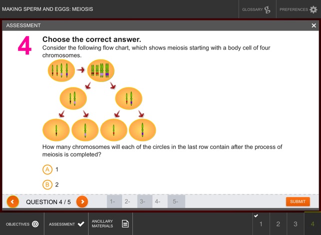 Making Sperm and Eggs: Meiosis(圖5)-速報App