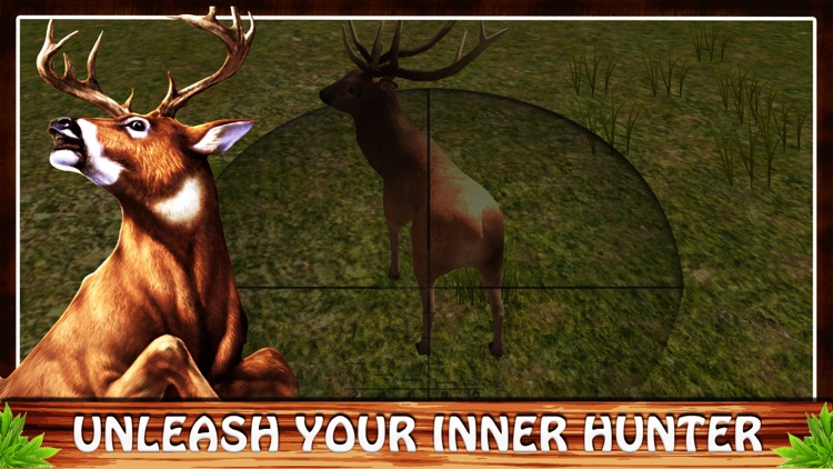 3D Wild Big Deer Ultimate Hunt  Animal Hunting Pro screenshot-1