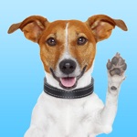 JackMoji - Stickers  Keyboard for Jack Russells