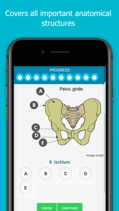 How to cancel & delete Visual Anatomy Quiz from iphone & ipad 4