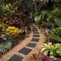 Backyard & Gardening with Landscaping Designs idea Avis