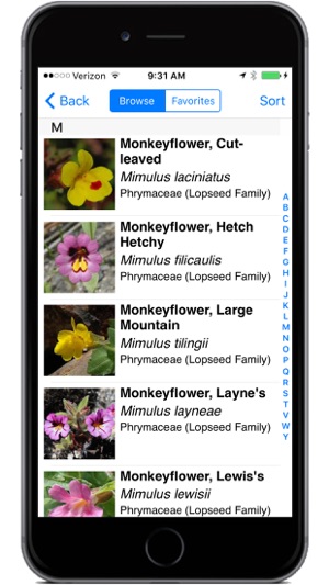 Yosemite Wildflowers(圖3)-速報App