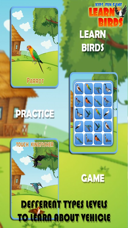 Pro Kids Fun Game Learn Birds