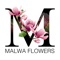 Welcome to Malwa Flowers