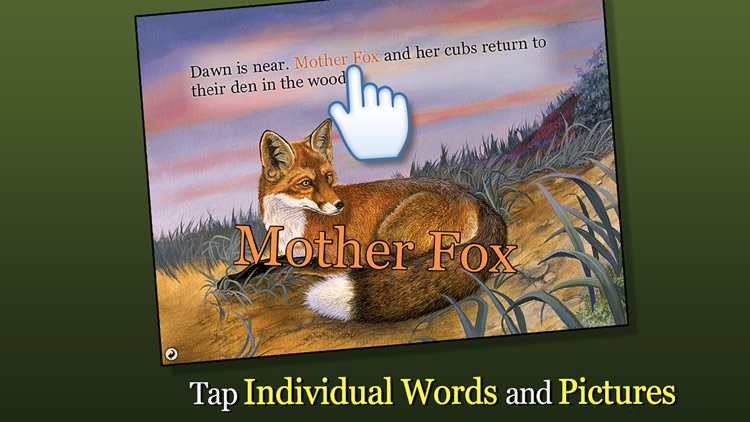 Red Fox at Hickory Lane - Smithsonian's Backyard