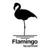 Flamingo by carnival