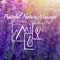 Peaceful Nature Massage Team App