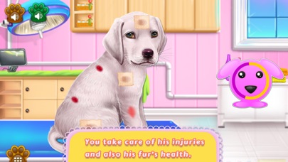 Labrador Puppy Day Care screenshot 2
