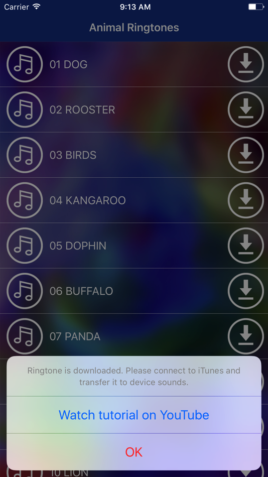 Animal sounds ringtones apk. Животный рингтоны. Рингтоны на телефон звери. Animal sounds ringtones. Рингтон смешные картинки.