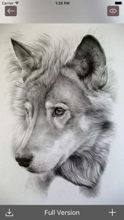 Drawing Ideas - 10000+ Art Drawings Collection HD