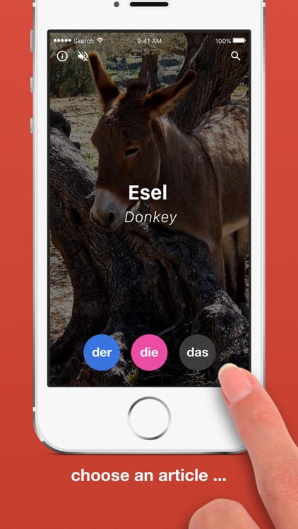 Der Die Das Article Training