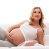 孕期育儿宝典——怀孕全程指导育儿管家妈妈首选