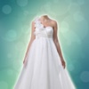 American Wedding Dress PhotoFrames