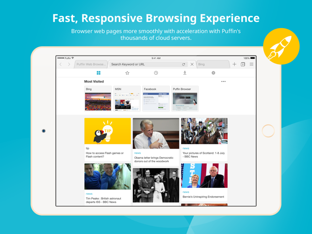 Adobe Flash Player Ipad Download Kostenlos