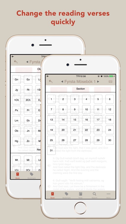 Icelandic English Bible screenshot-4