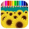 Sunflower Coloring Book Game For Kids Edition