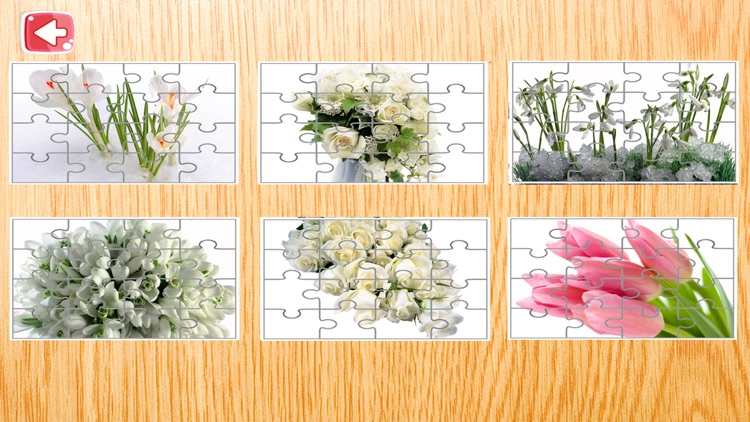 Flowers Jigsaw Puzzle For Kids 4 Year screenshot-3