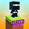 Flippy Ninja Challenges!