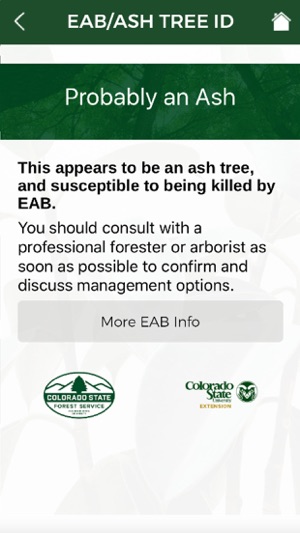 EAB/Ash Tree ID(圖3)-速報App