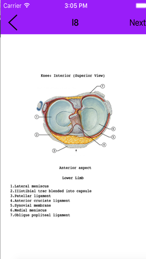 Anatomy Flashcard(圖2)-速報App